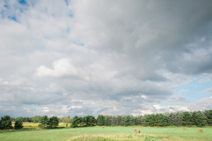 Amanda & Hunter : : Morley, MI Backyard Wedding