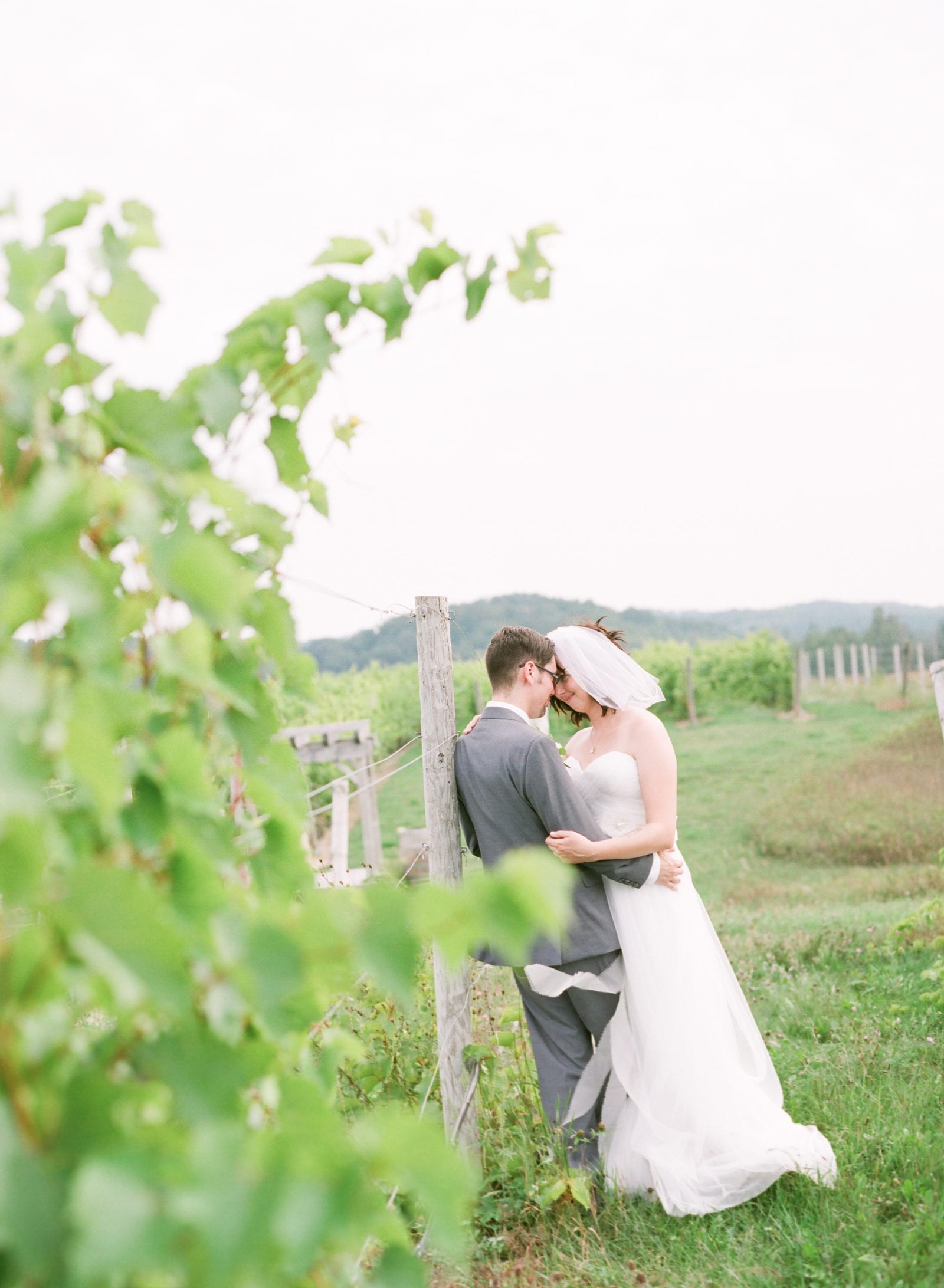 wedding in northern Michigan vineyard